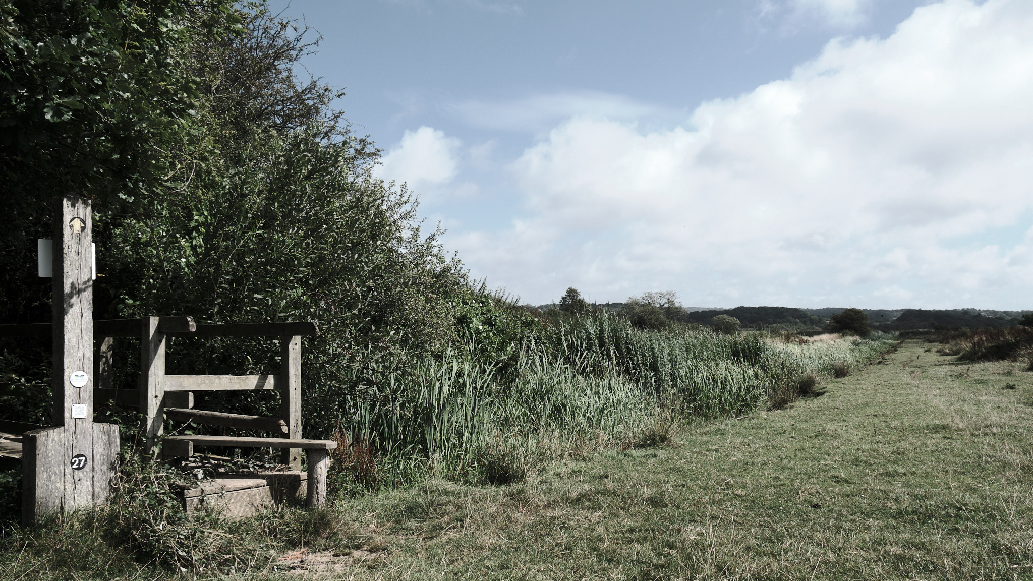 A landscape of an entry point to a cow field, surrounded by bushes