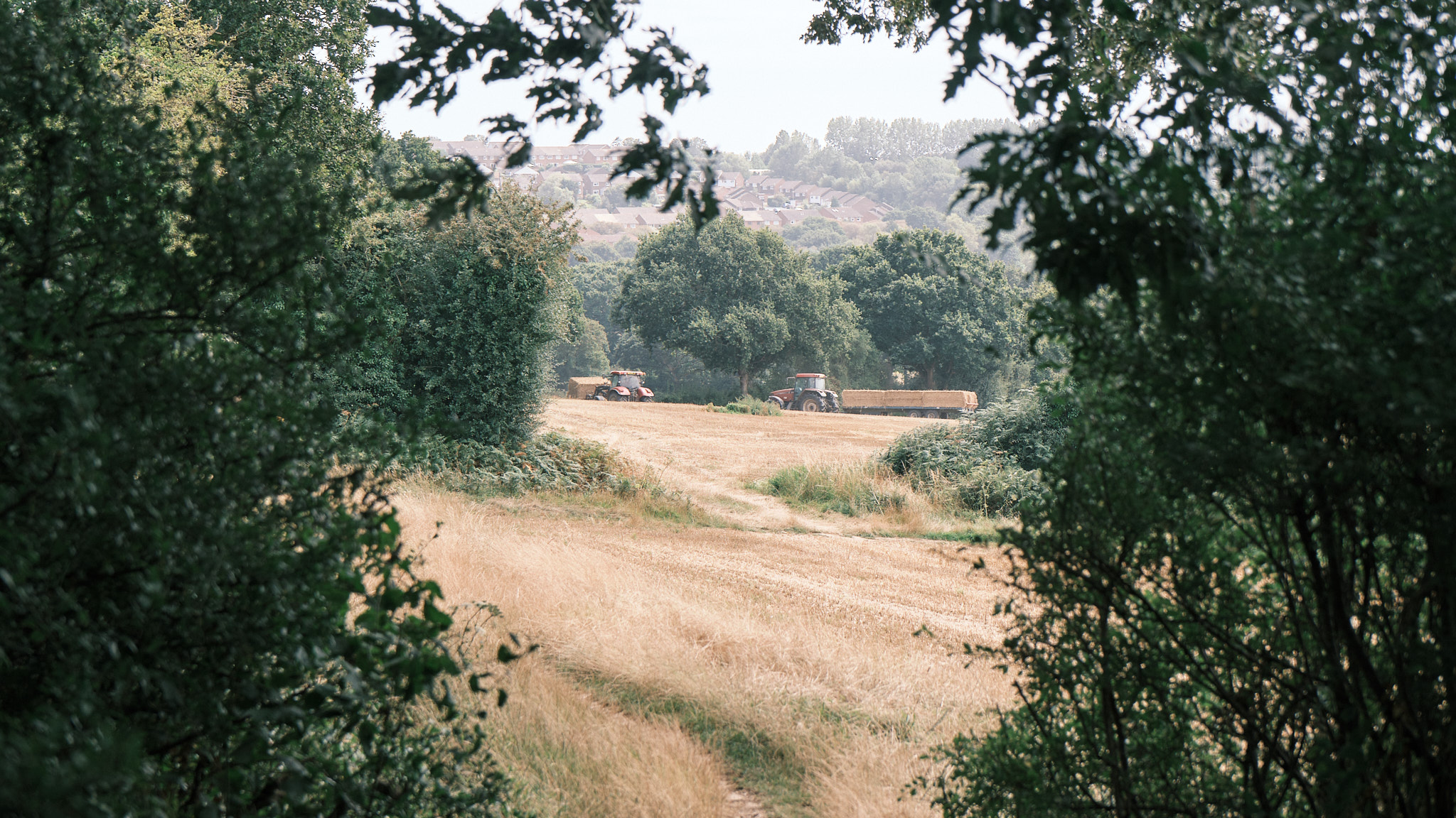 Two tractors in the distance being driven by farmers transporting haystacks