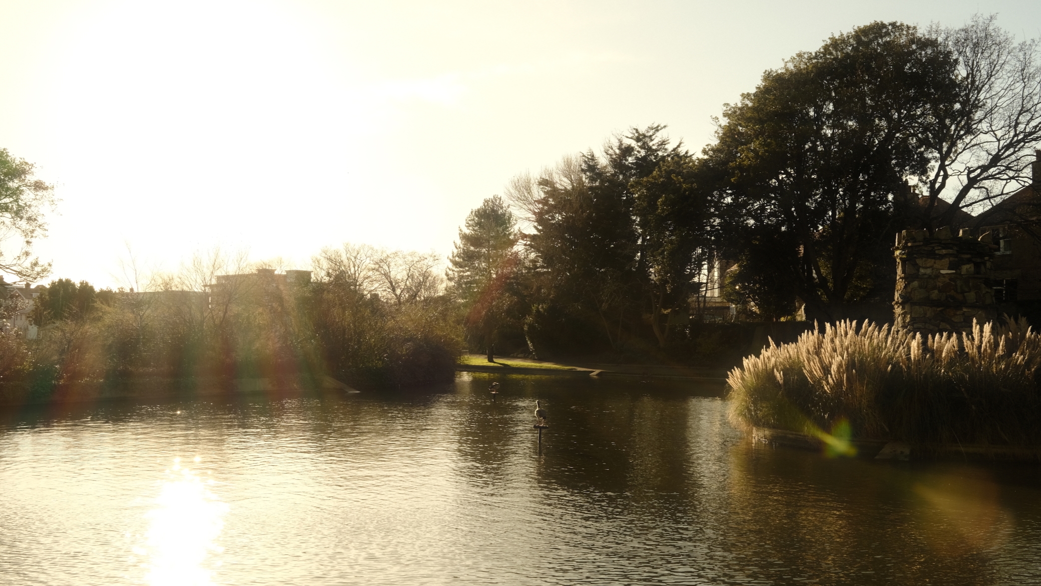 A landscape of the Egerton Park lake on a sunny winters day